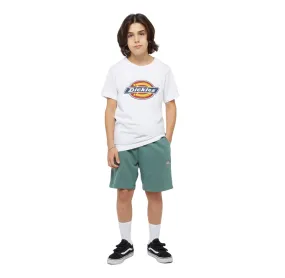 Dickies boys' sports shorts Mapleton DK0KRR33H151 forest