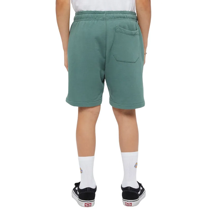 Dickies boys' sports shorts Mapleton DK0KRR33H151 forest