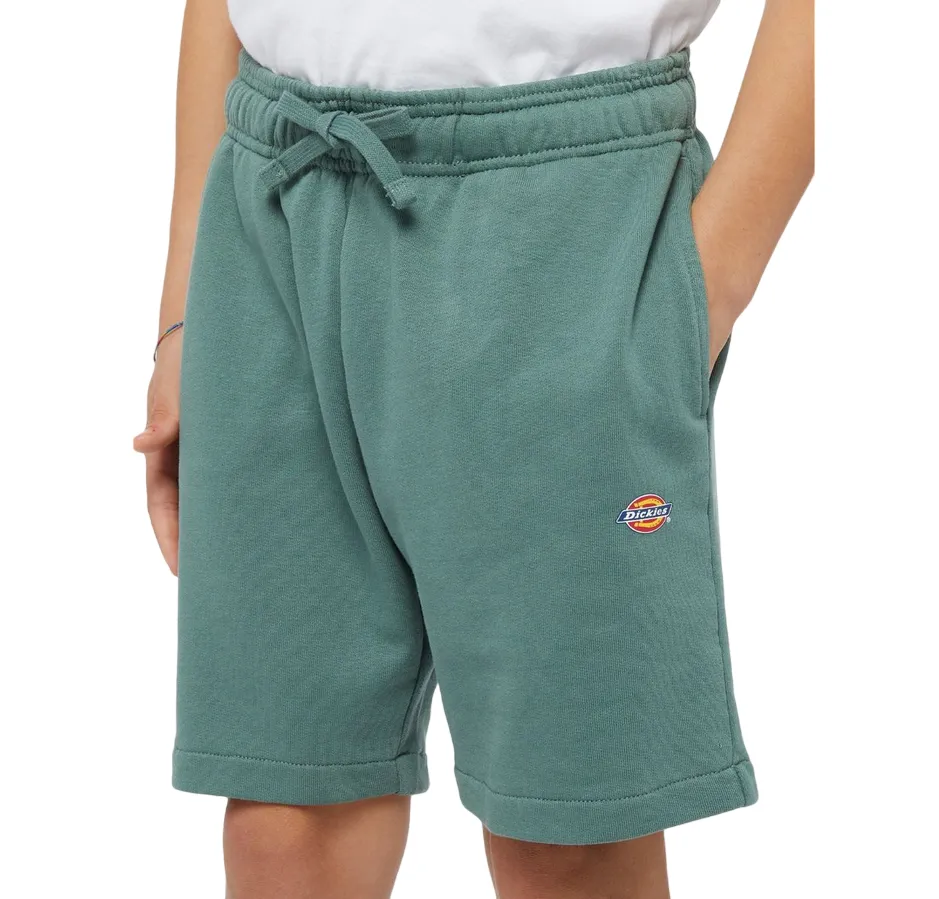 Dickies boys' sports shorts Mapleton DK0KRR33H151 forest